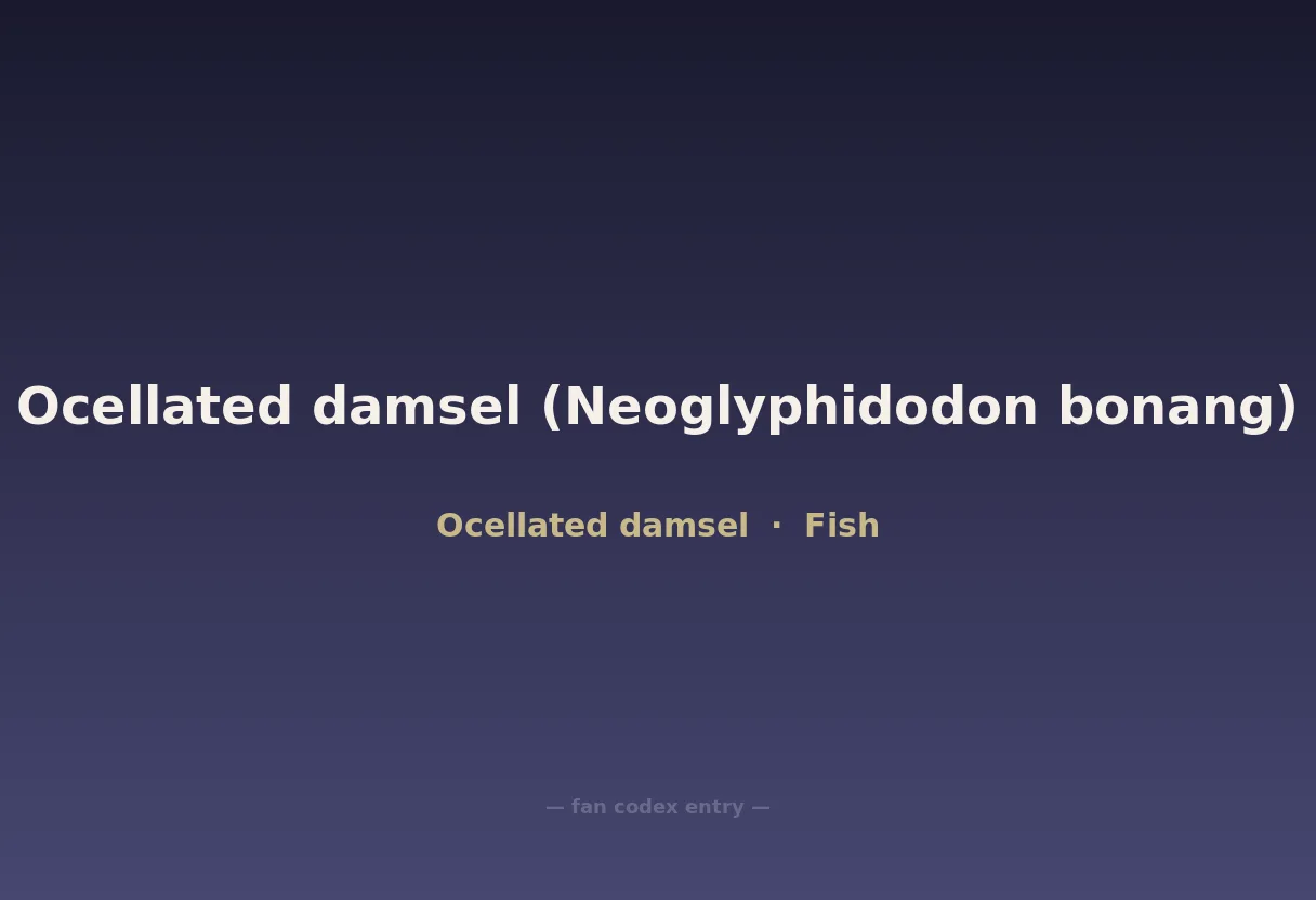 Ocellated damsel (Neoglyphidodon bonang)