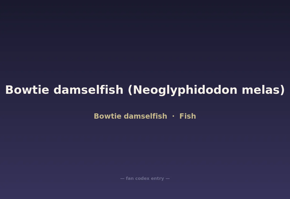 Bowtie damselfish (Neoglyphidodon melas)