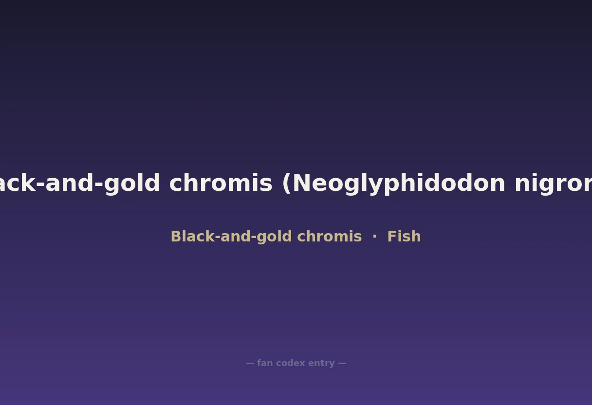 Black-and-gold chromis (Neoglyphidodon nigroris)