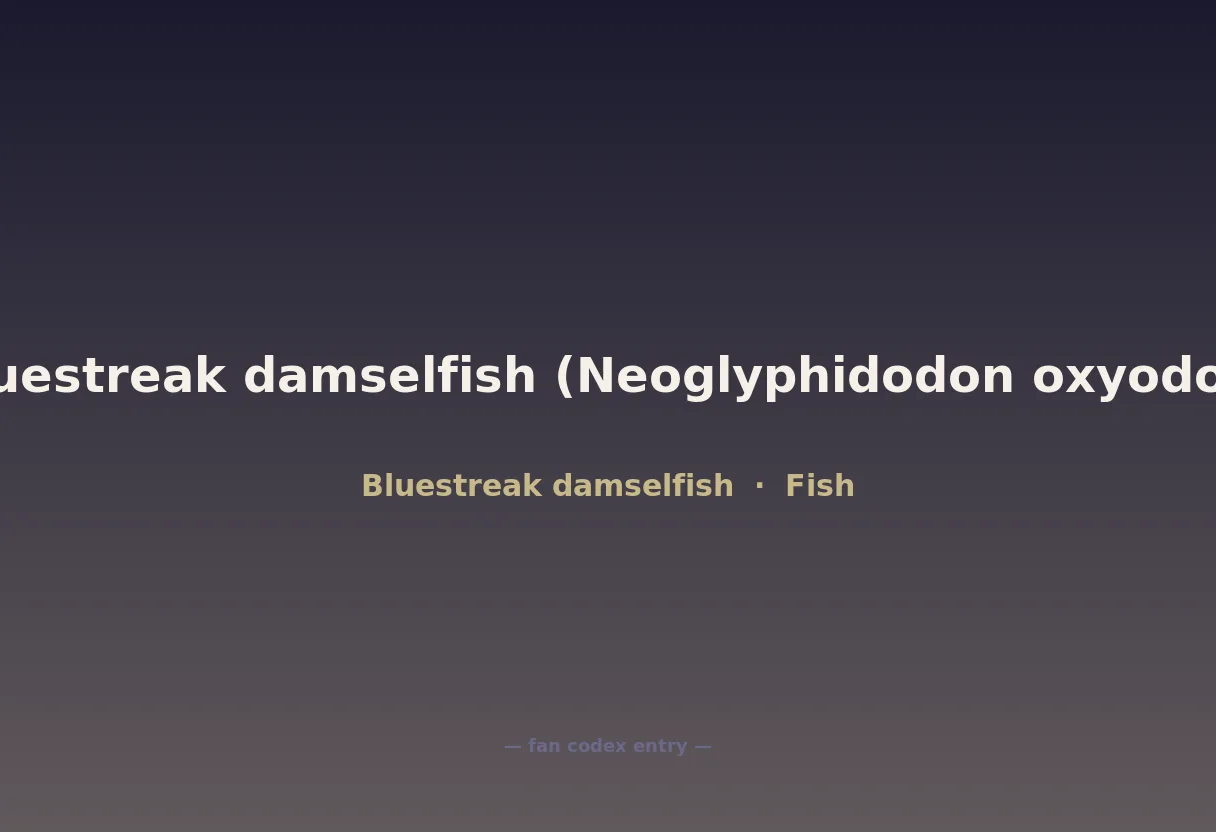 Bluestreak damselfish (Neoglyphidodon oxyodon)