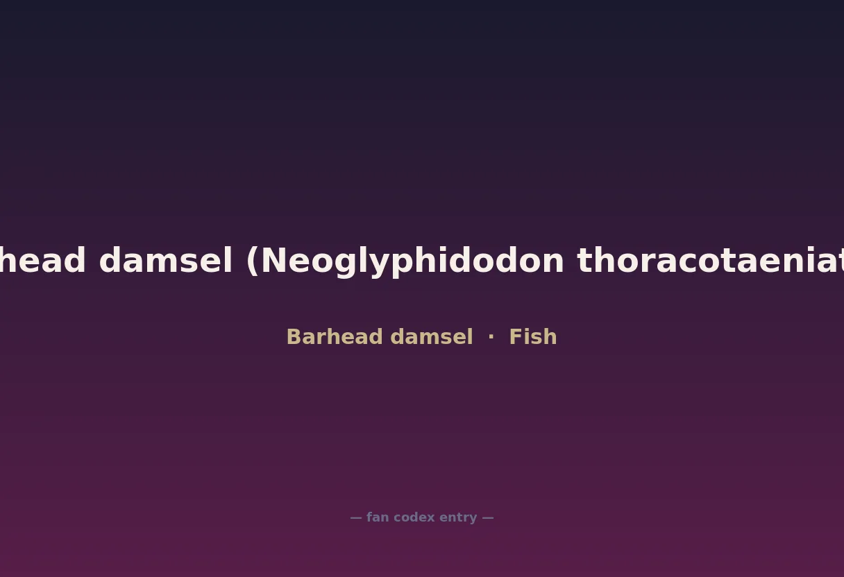 Barhead damsel (Neoglyphidodon thoracotaeniatus)