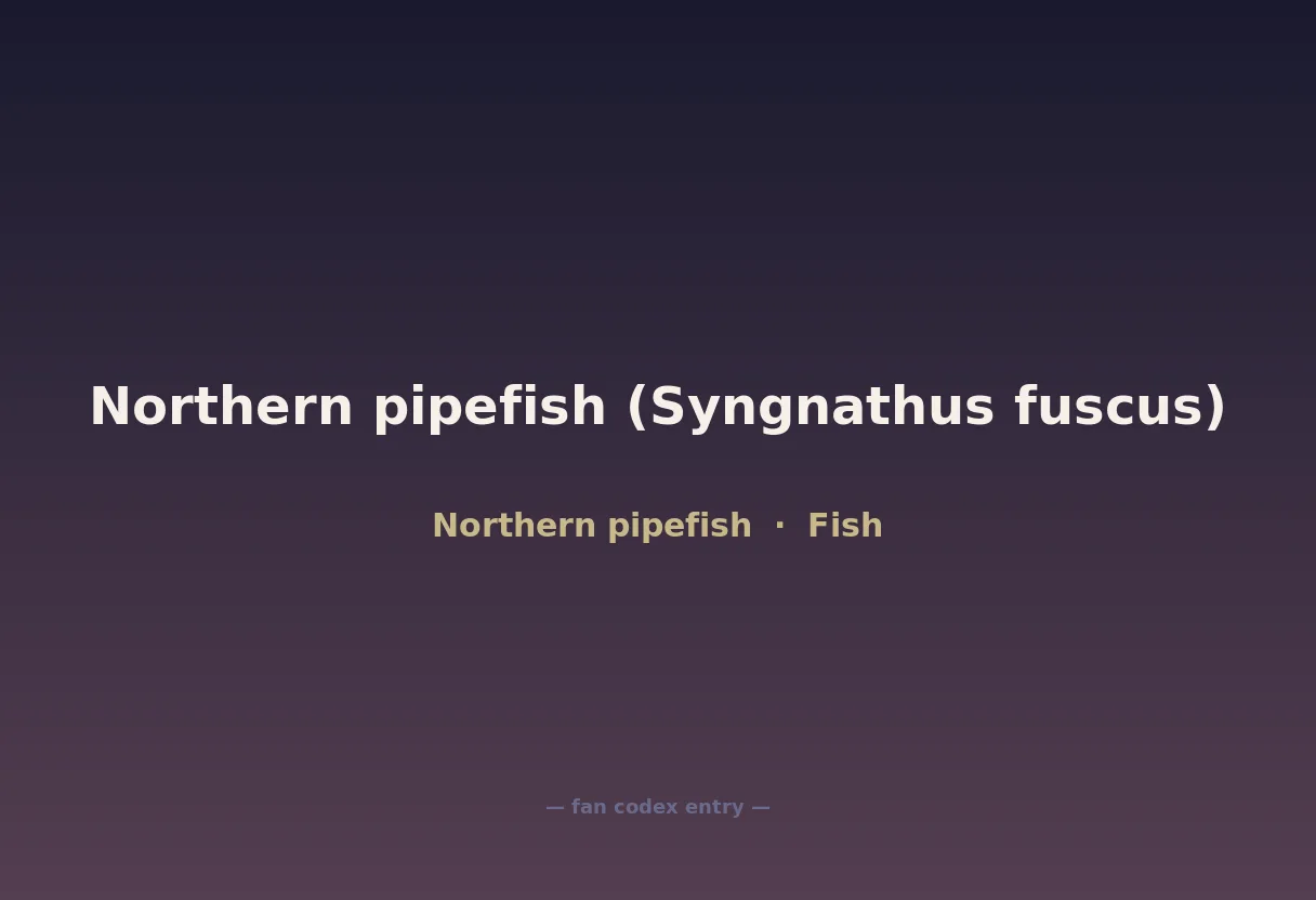 Northern pipefish (Syngnathus fuscus)