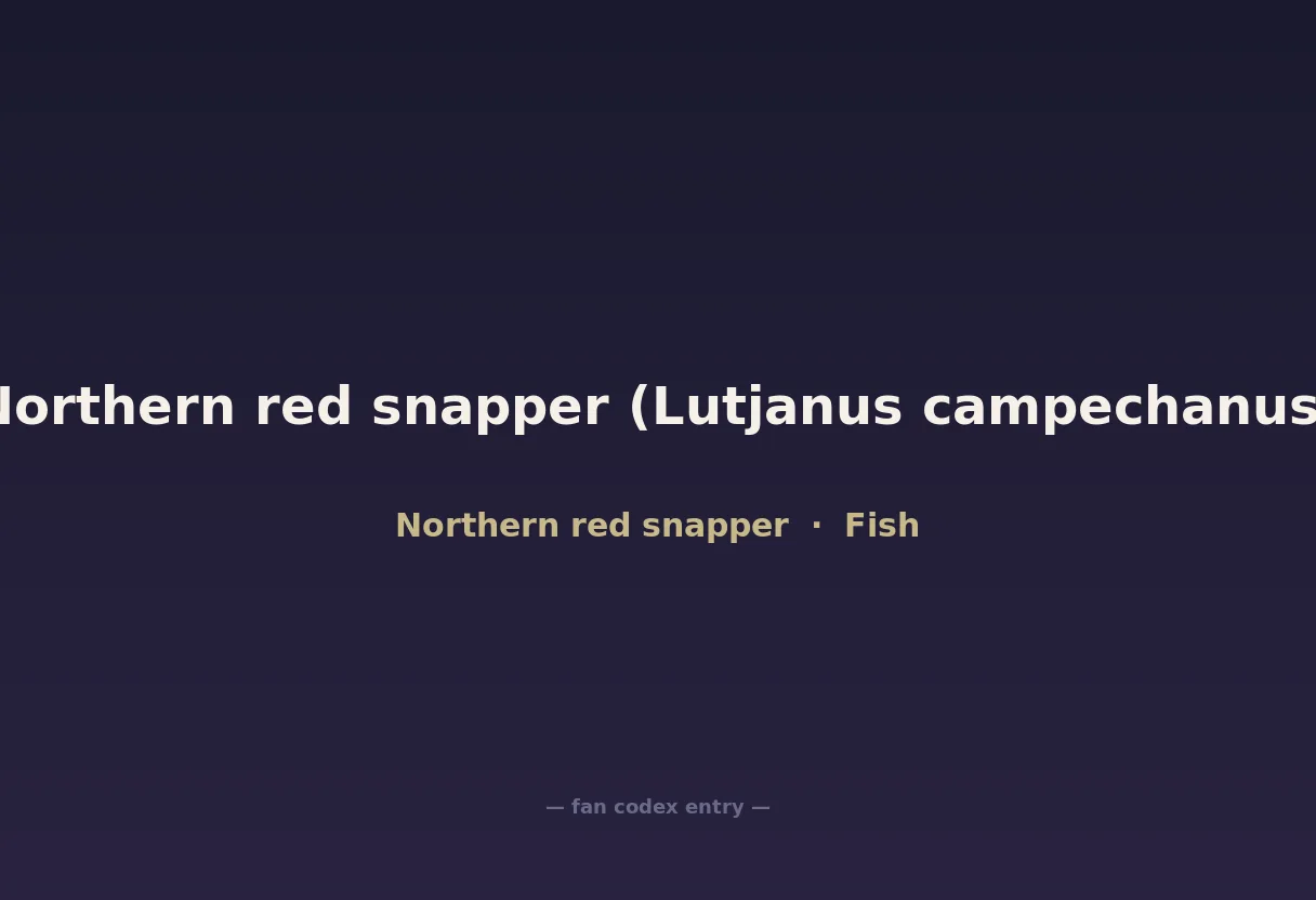 Northern red snapper (Lutjanus campechanus)