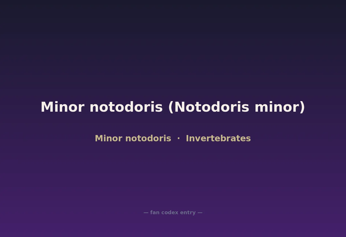 Minor notodoris (Notodoris minor)