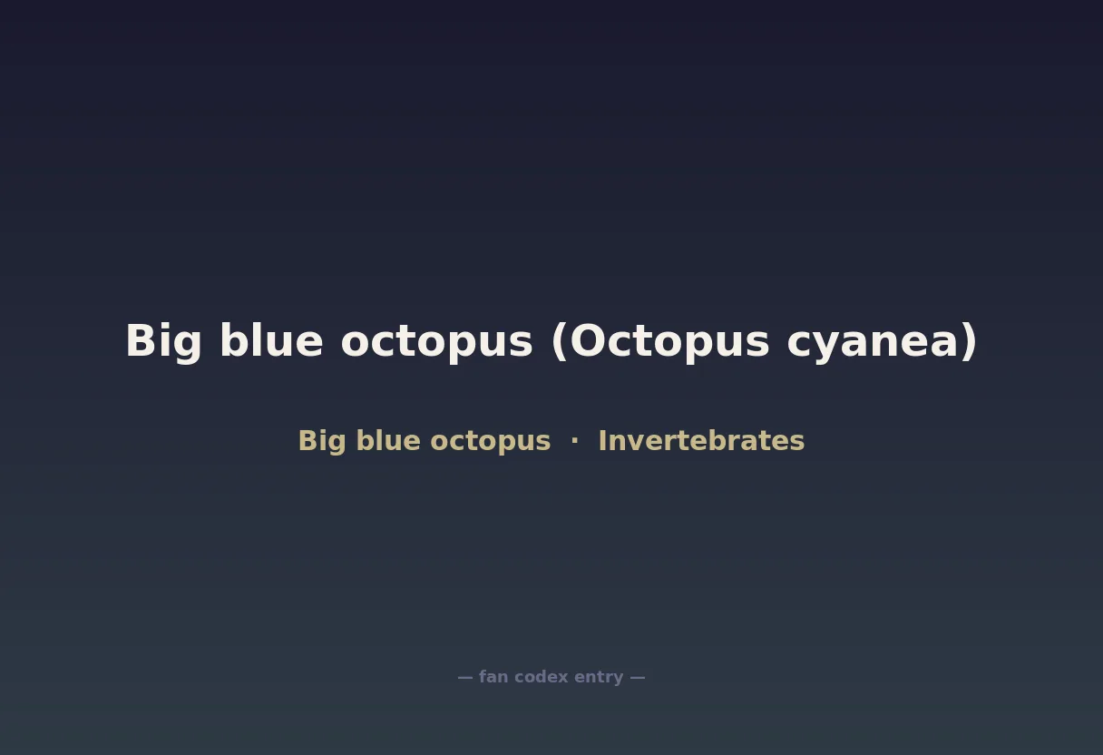 Big blue octopus (Octopus cyanea)