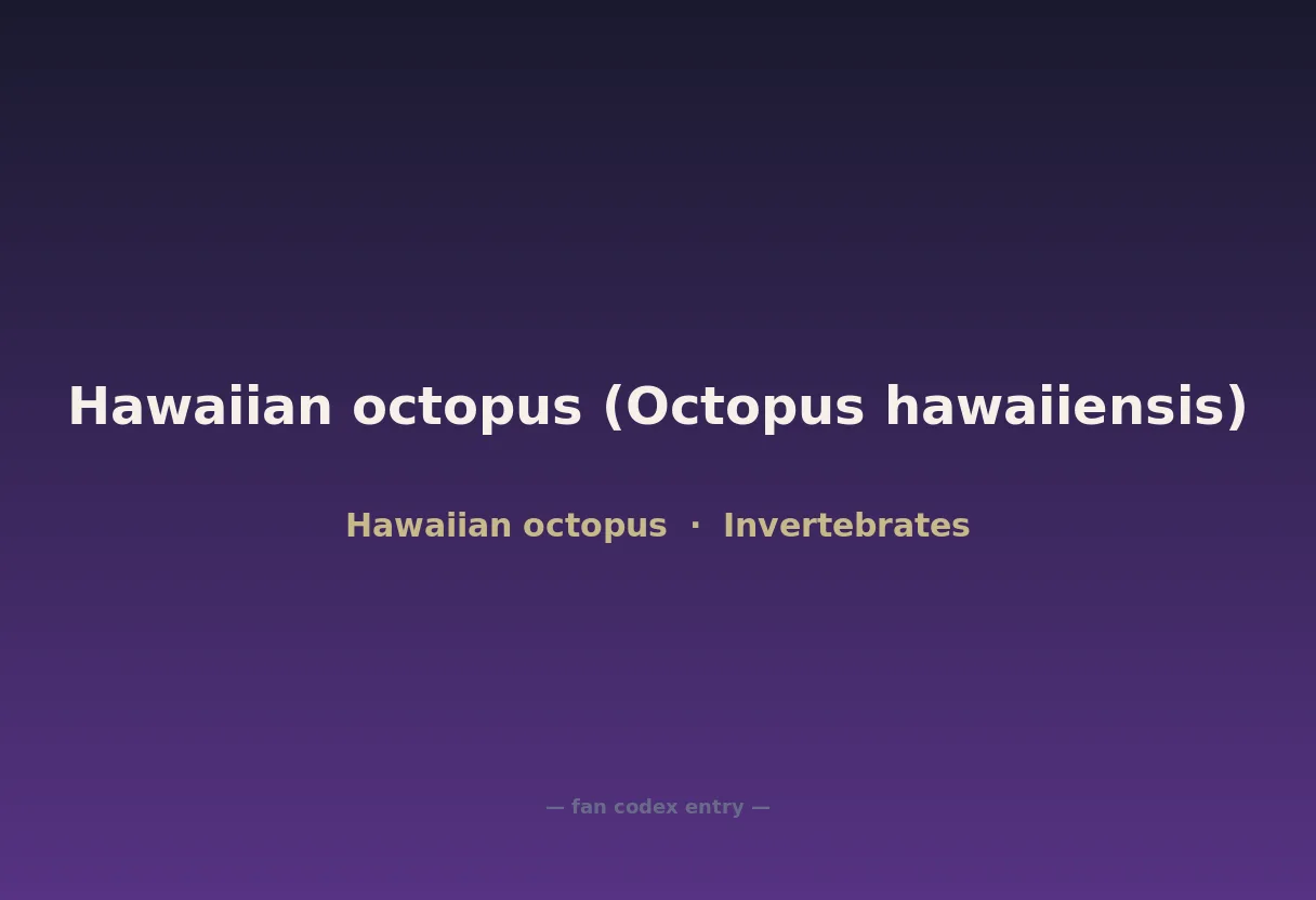 Hawaiian octopus (Octopus hawaiiensis)