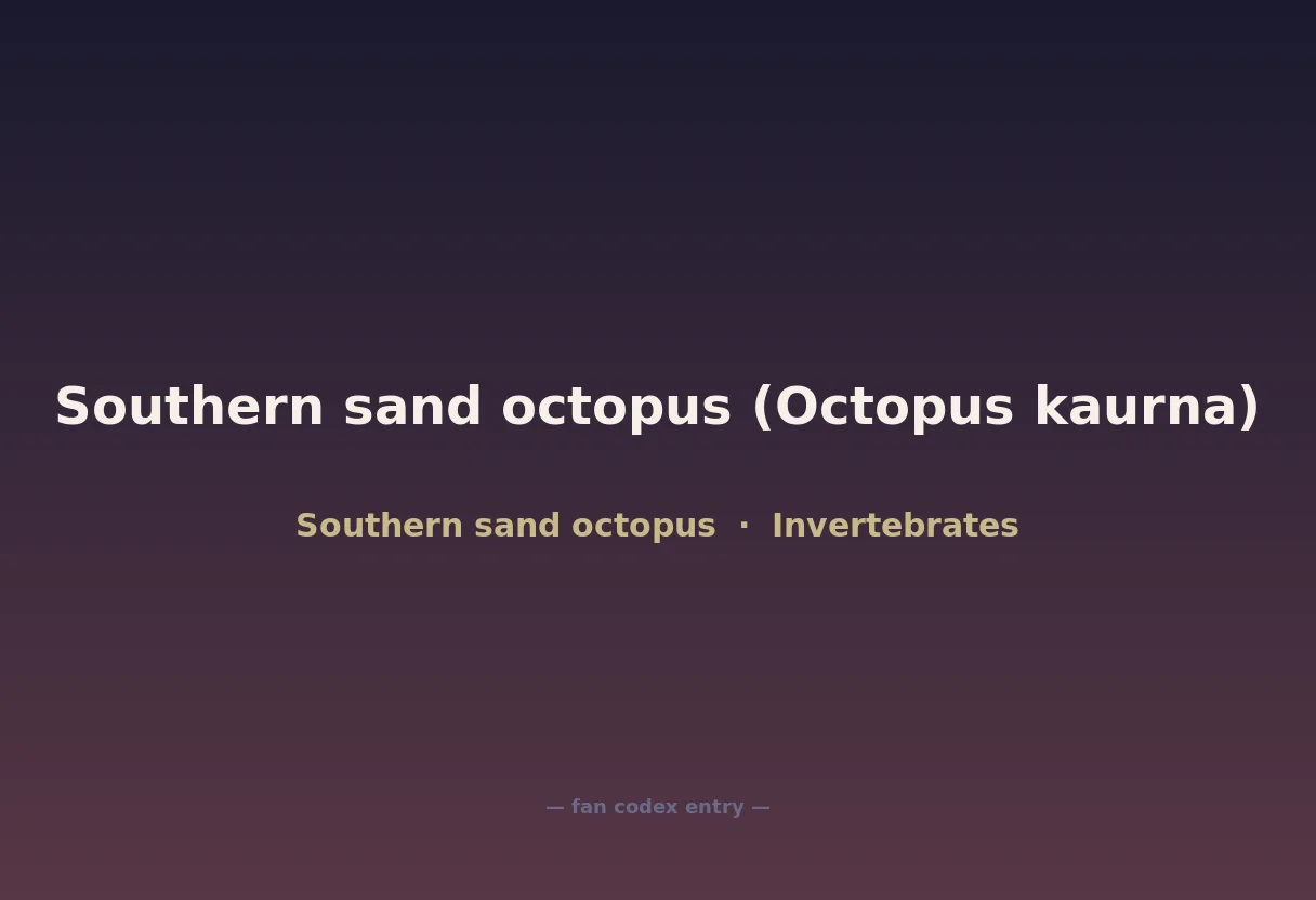 Southern sand octopus (Octopus kaurna)