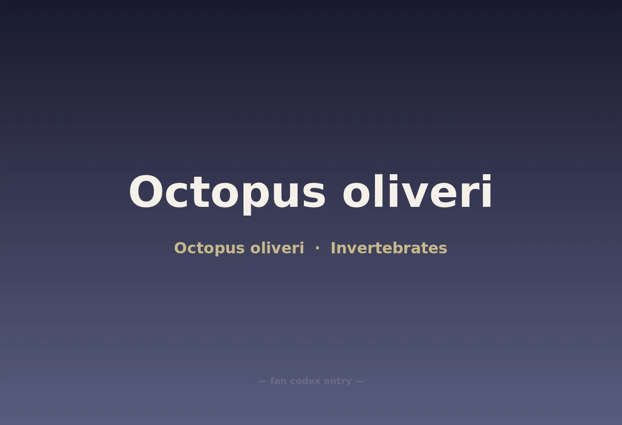Octopus oliveri