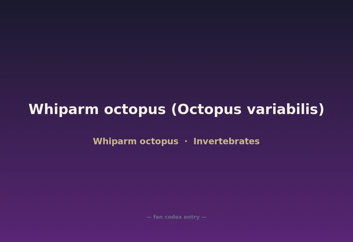 Whiparm octopus (Octopus variabilis)