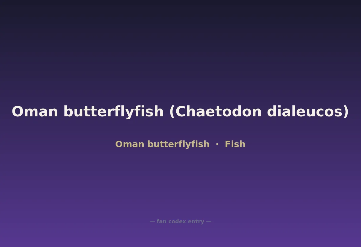Oman butterflyfish (Chaetodon dialeucos)
