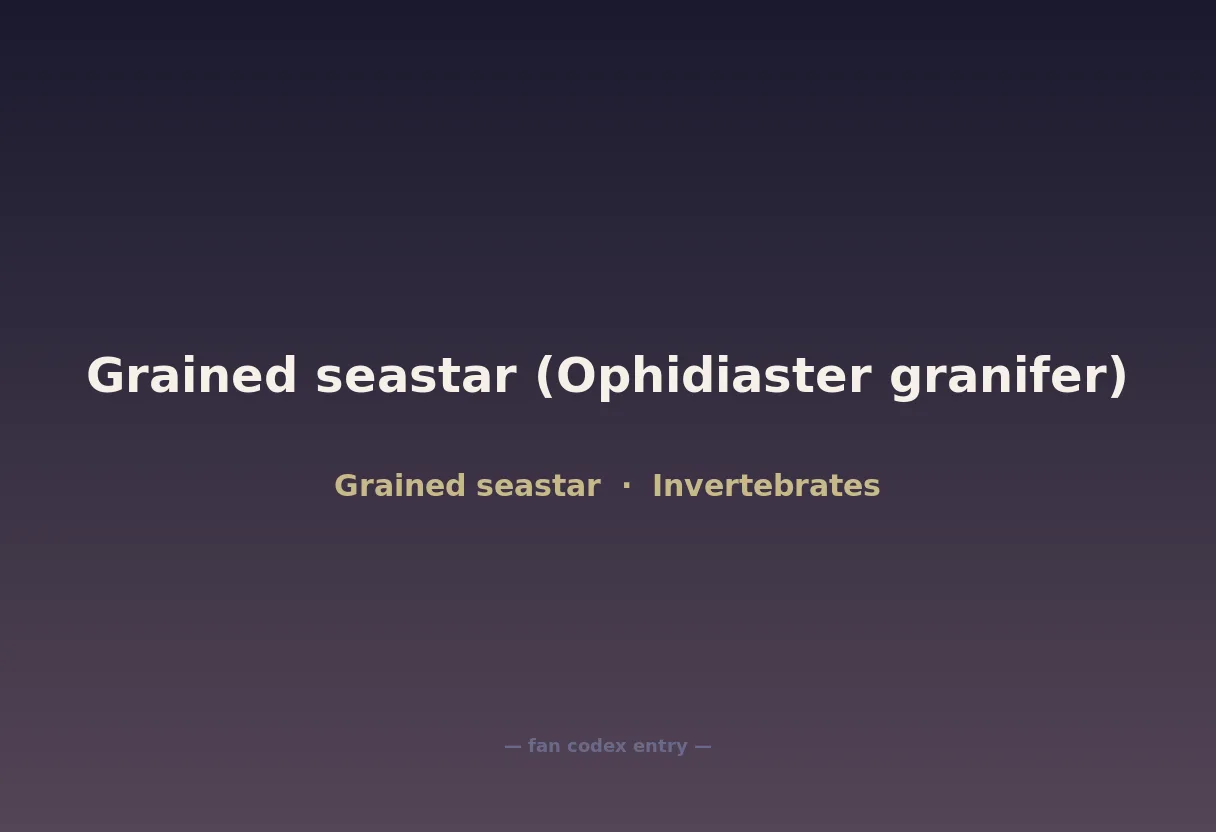 Grained seastar (Ophidiaster granifer)