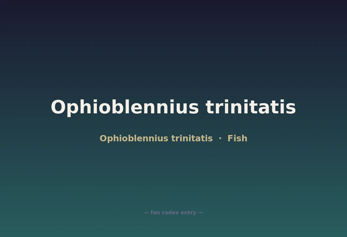 Ophioblennius trinitatis