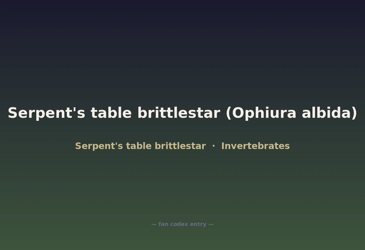 Serpent's table brittlestar (Ophiura albida)