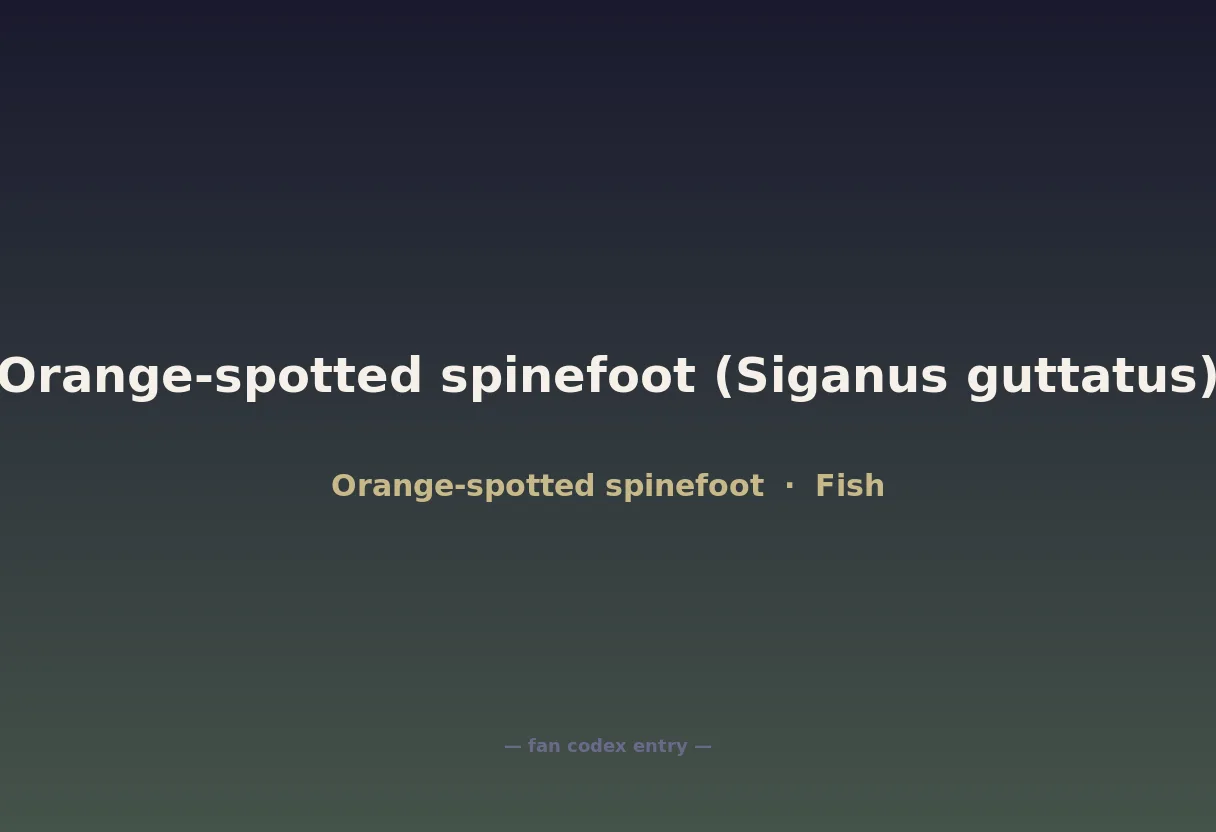Orange-spotted spinefoot (Siganus guttatus)