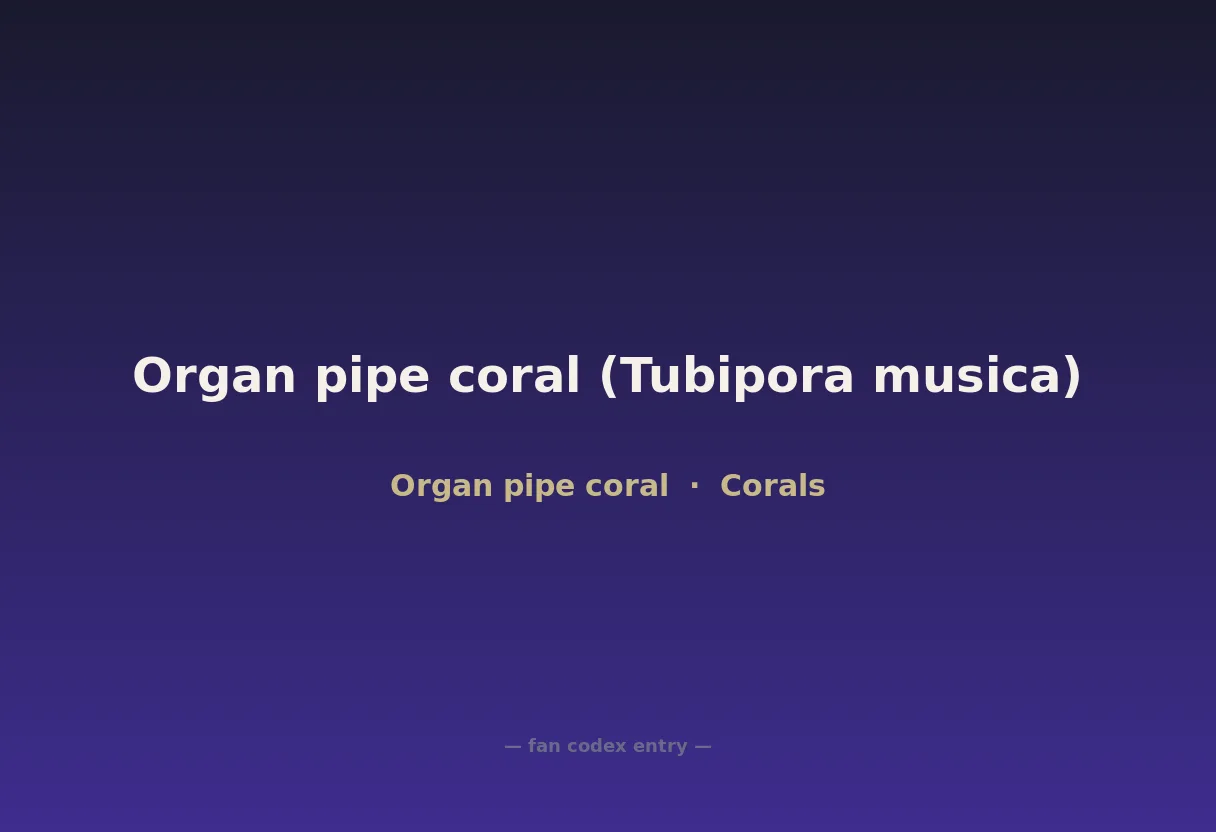Organ pipe coral (Tubipora musica)