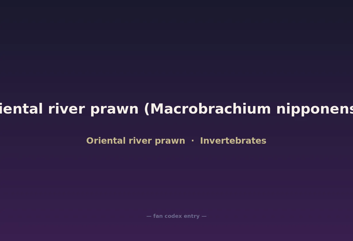 Oriental river prawn (Macrobrachium nipponense)