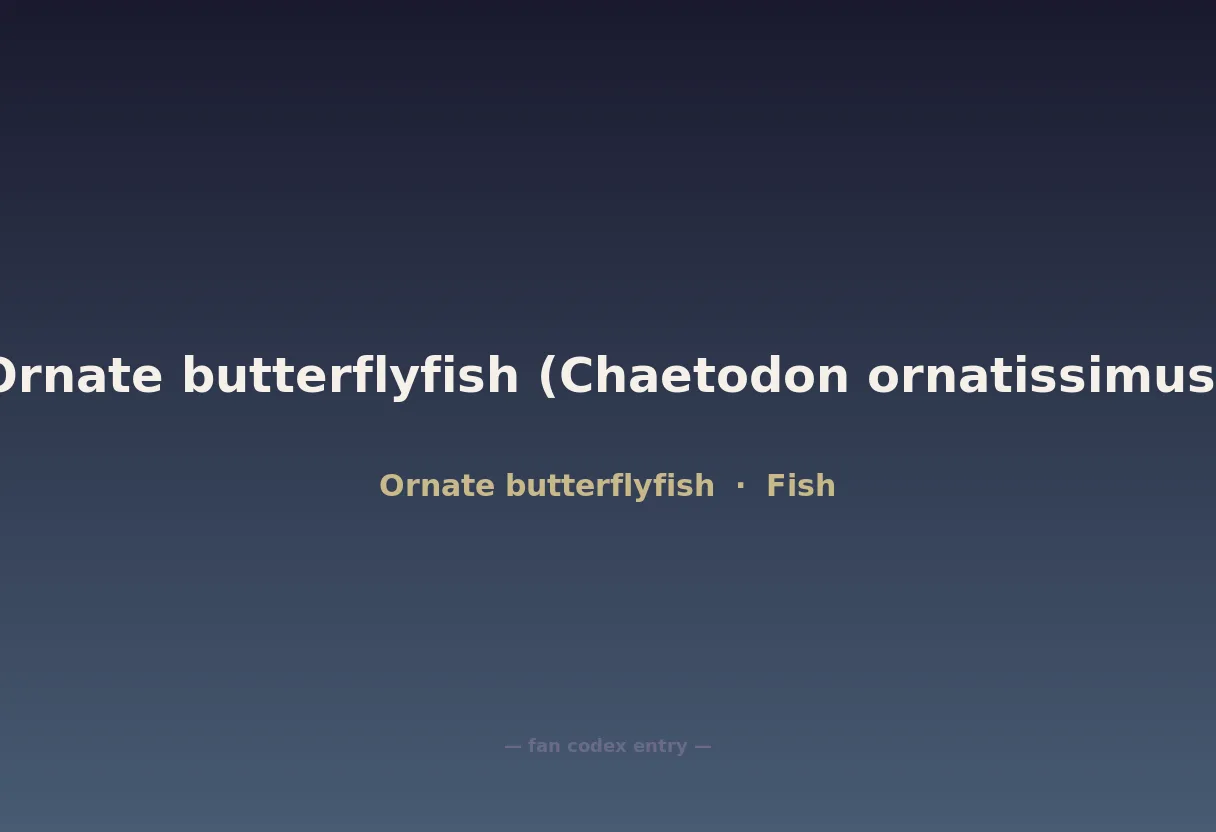 Ornate butterflyfish (Chaetodon ornatissimus)