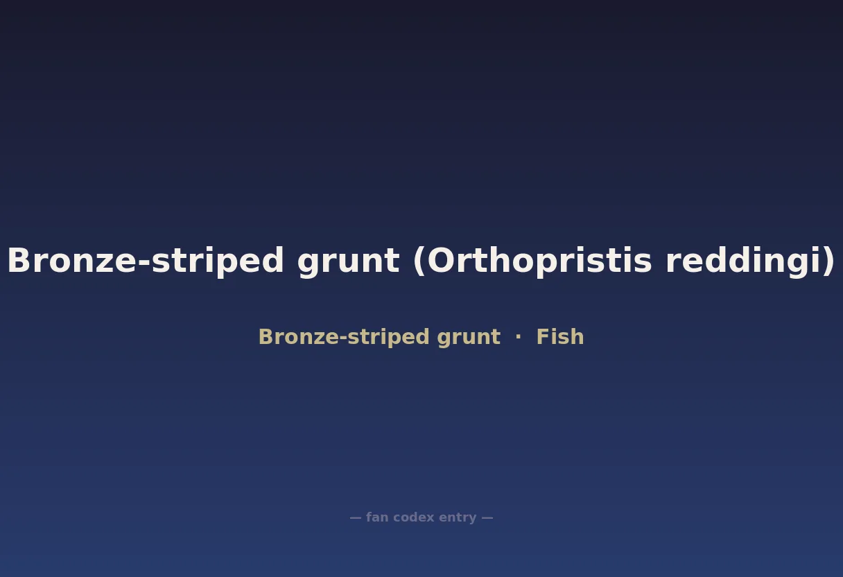 Bronze-striped grunt (Orthopristis reddingi)
