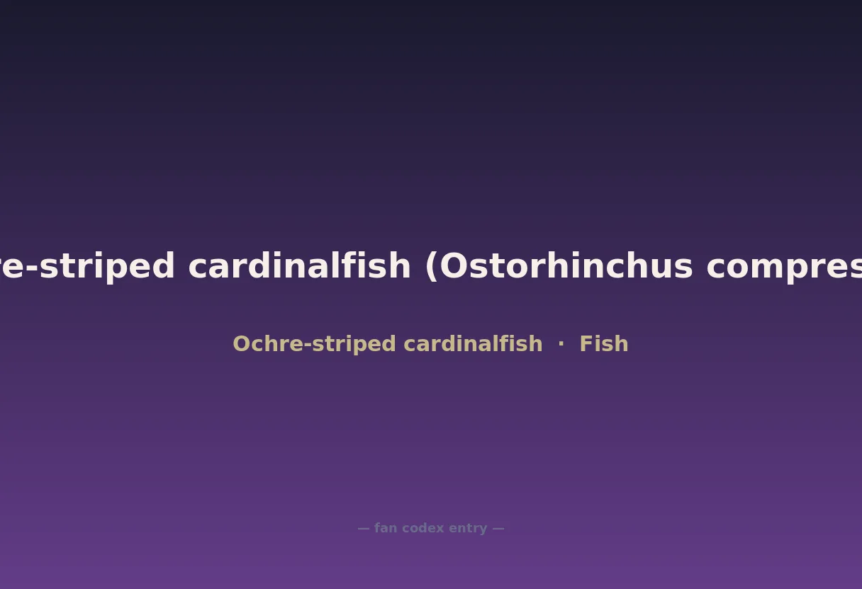 Ochre-striped cardinalfish (Ostorhinchus compressus)