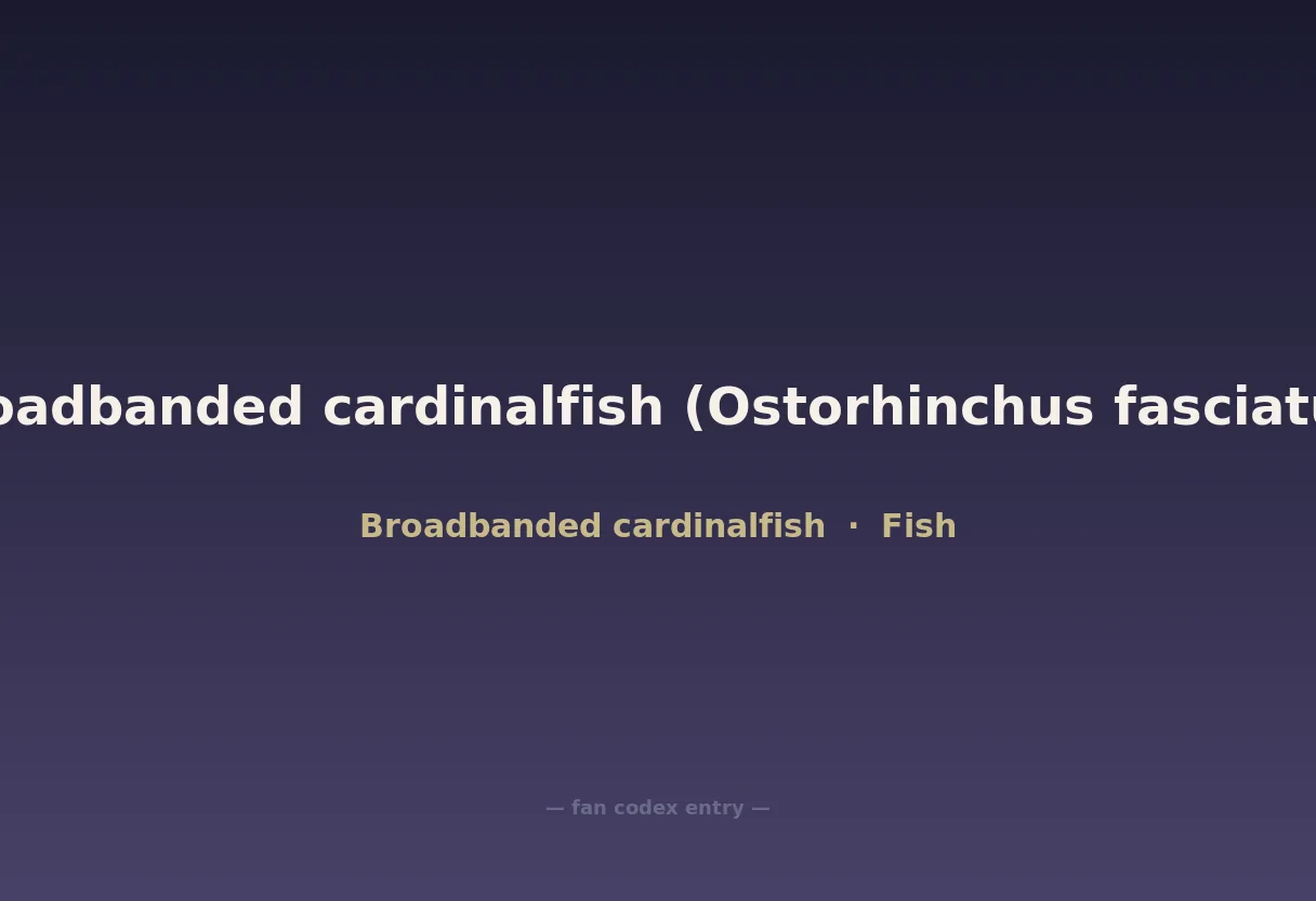 Broadbanded cardinalfish (Ostorhinchus fasciatus)