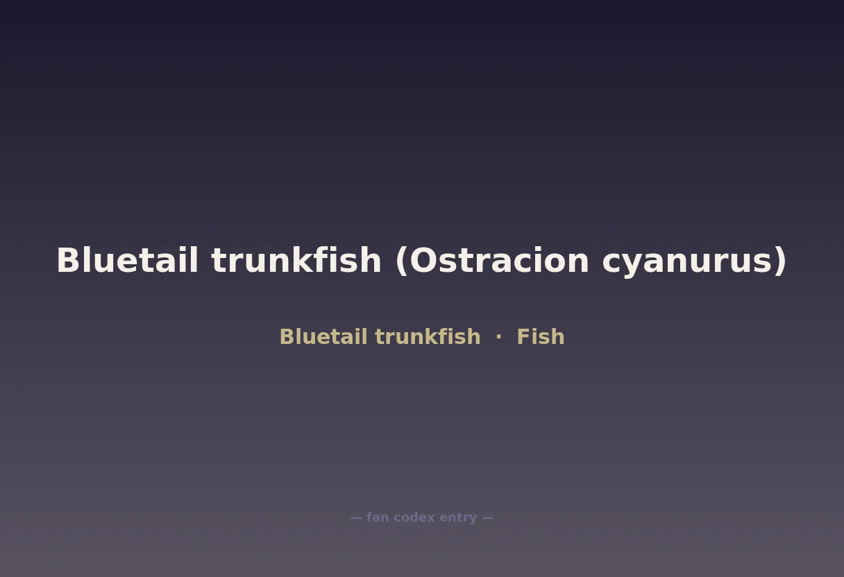 Bluetail trunkfish (Ostracion cyanurus)