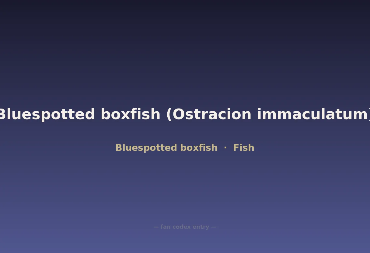 Bluespotted boxfish (Ostracion immaculatum)