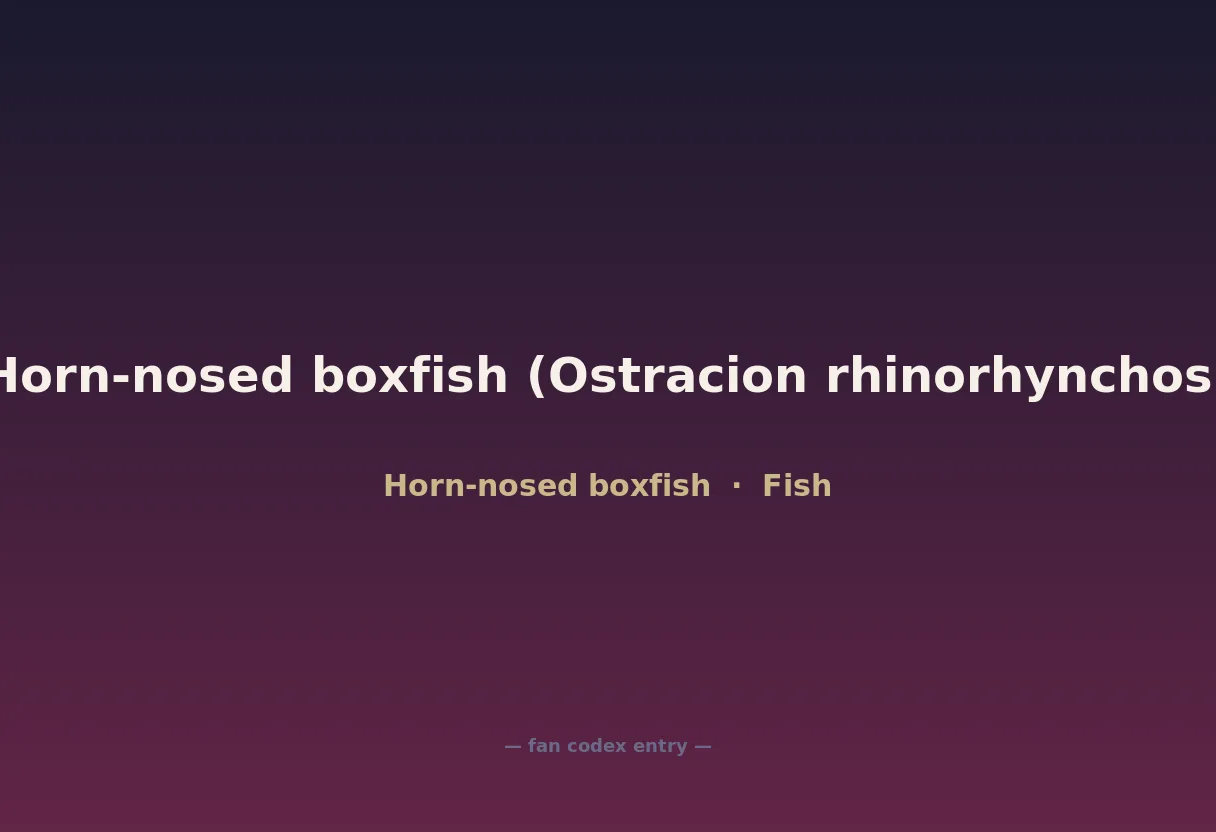 Horn-nosed boxfish (Ostracion rhinorhynchos)