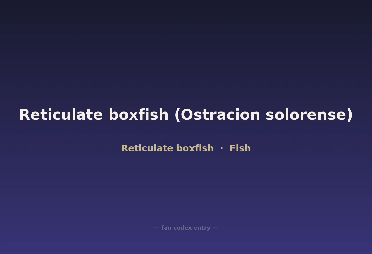 Reticulate boxfish (Ostracion solorense)