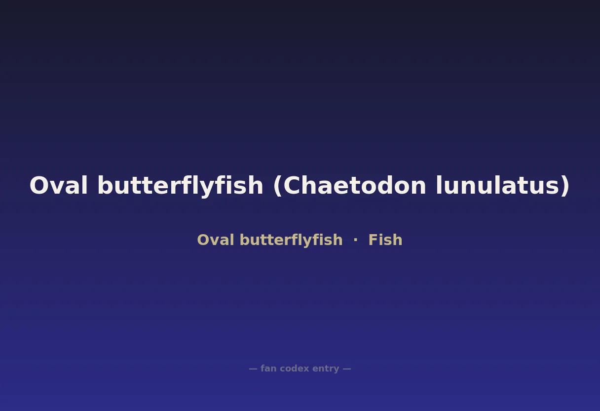 Oval butterflyfish (Chaetodon lunulatus)