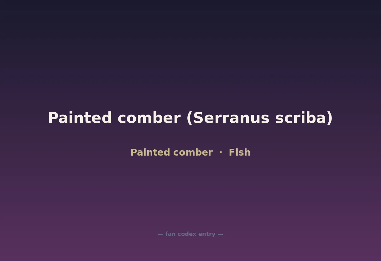 Painted comber (Serranus scriba)