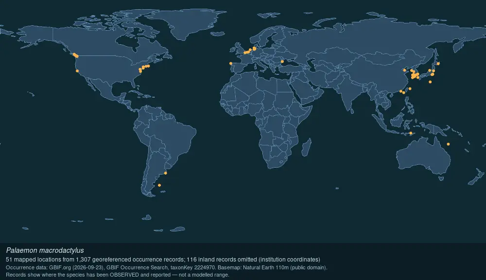 Where Oriental shrimp has been recorded