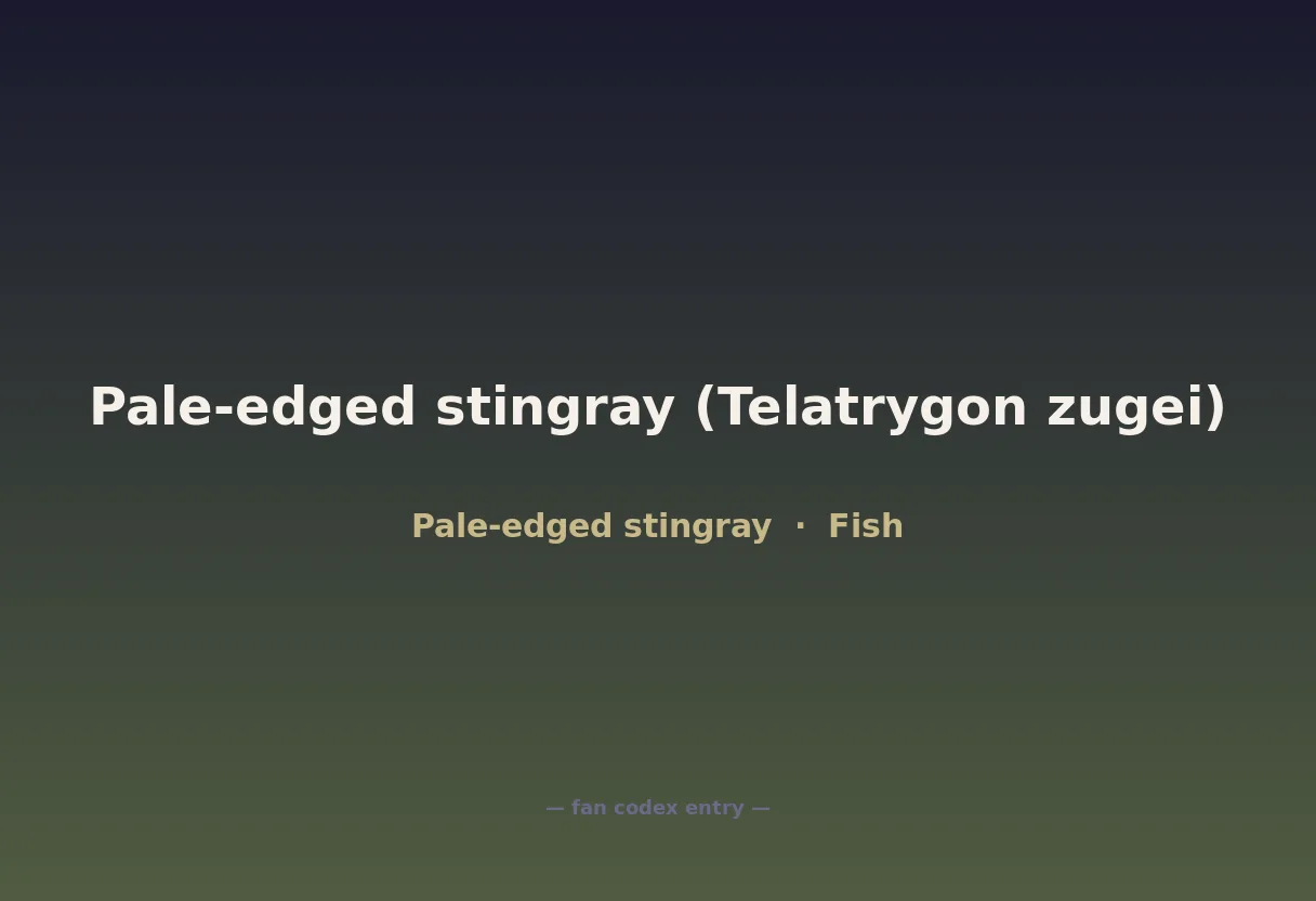 Pale-edged stingray (Telatrygon zugei)