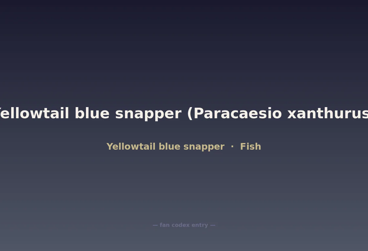 Yellowtail blue snapper (Paracaesio xanthurus)