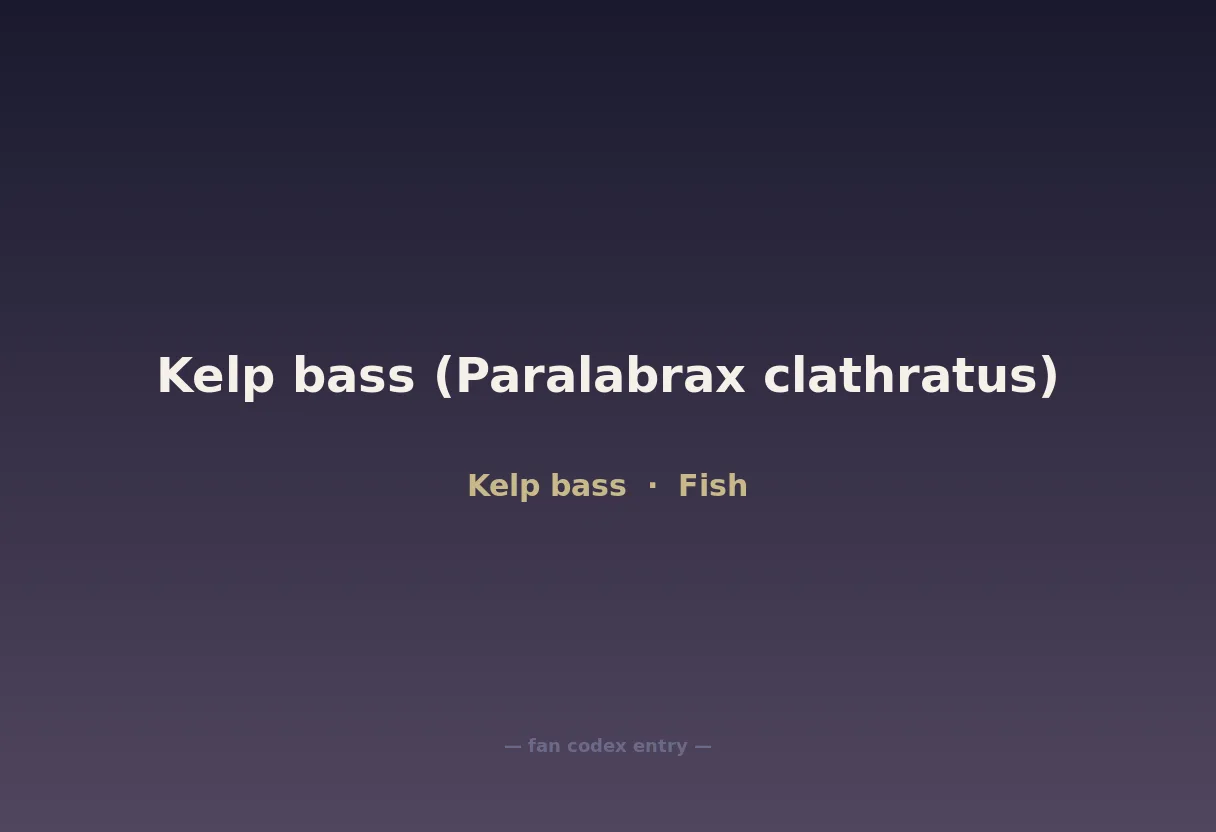 Kelp bass (Paralabrax clathratus)