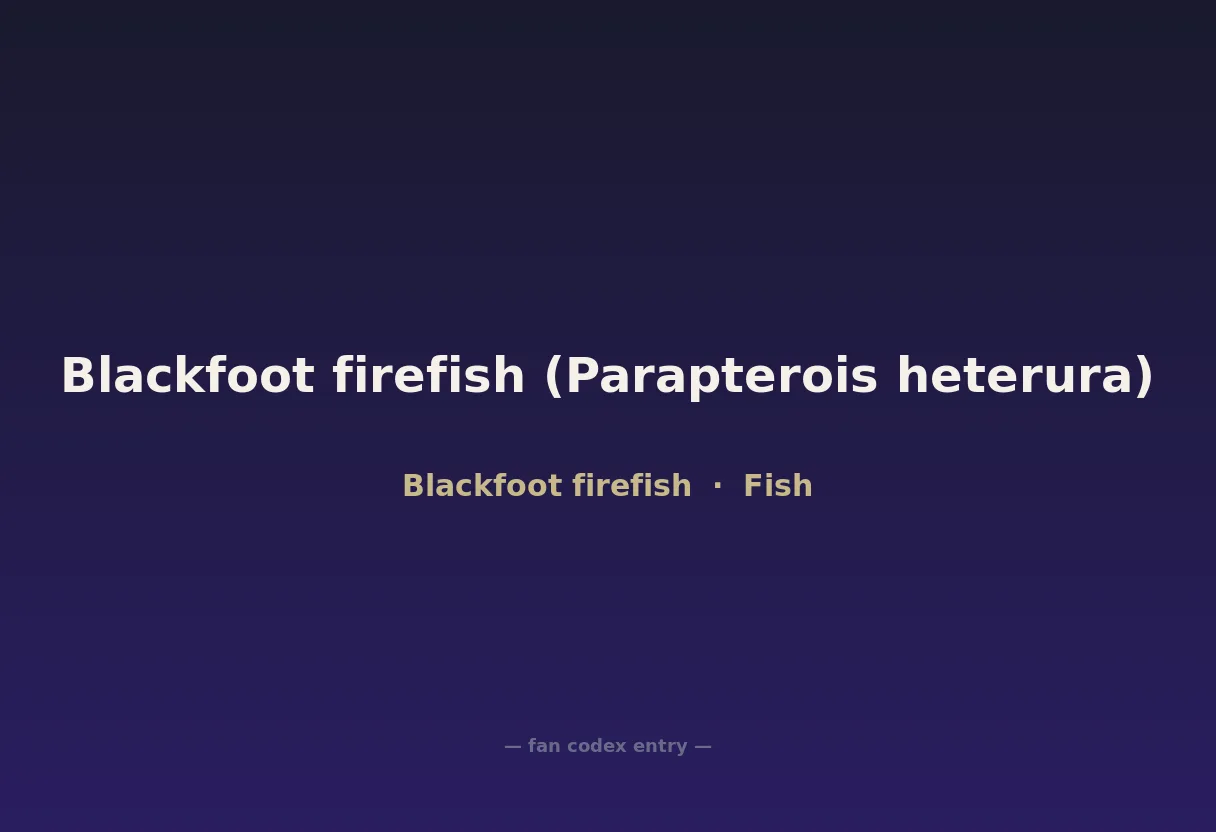 Blackfoot firefish (Parapterois heterura)