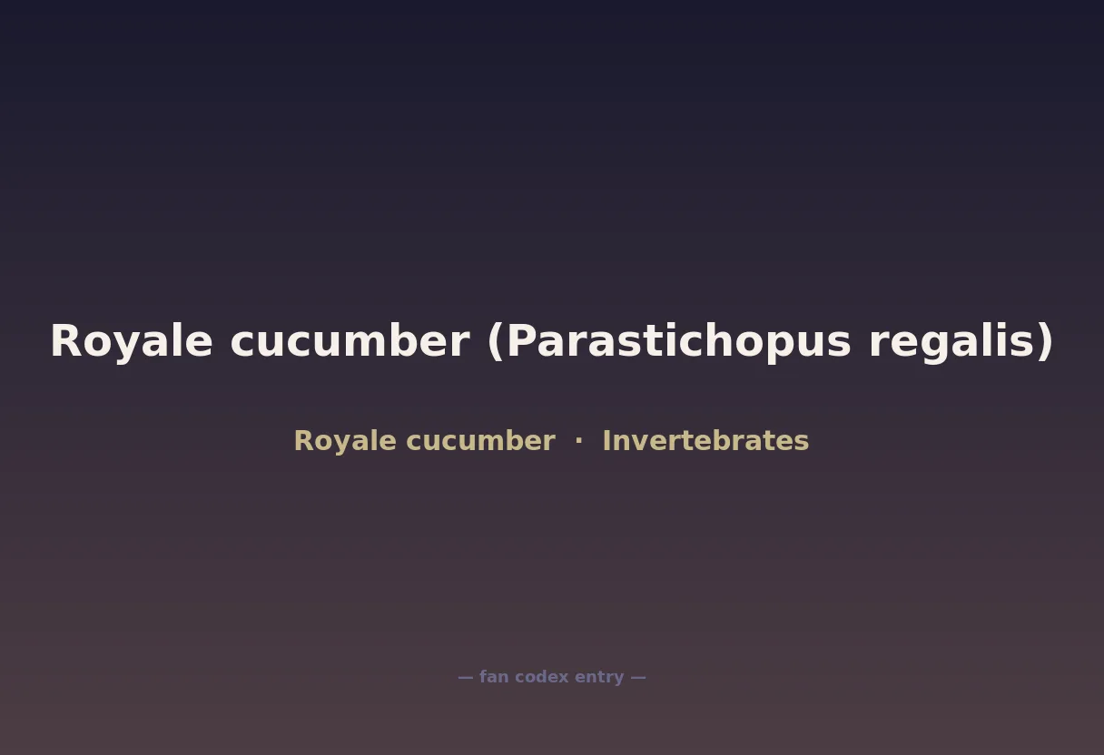 Royale cucumber (Parastichopus regalis)