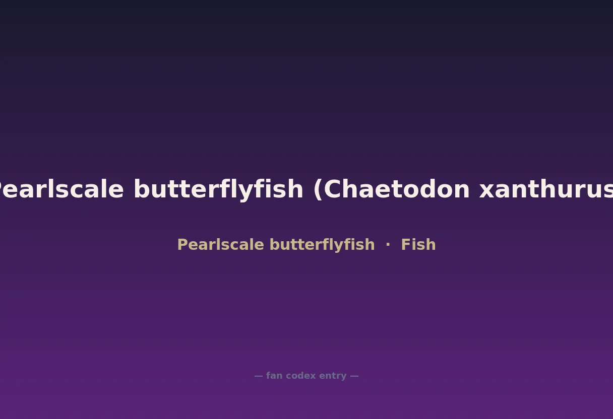 Pearlscale butterflyfish (Chaetodon xanthurus)