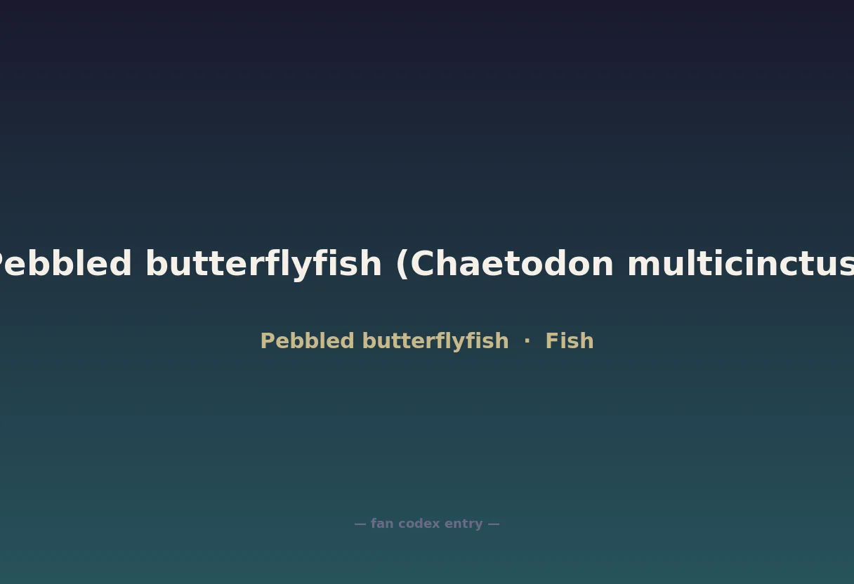 Pebbled butterflyfish (Chaetodon multicinctus)