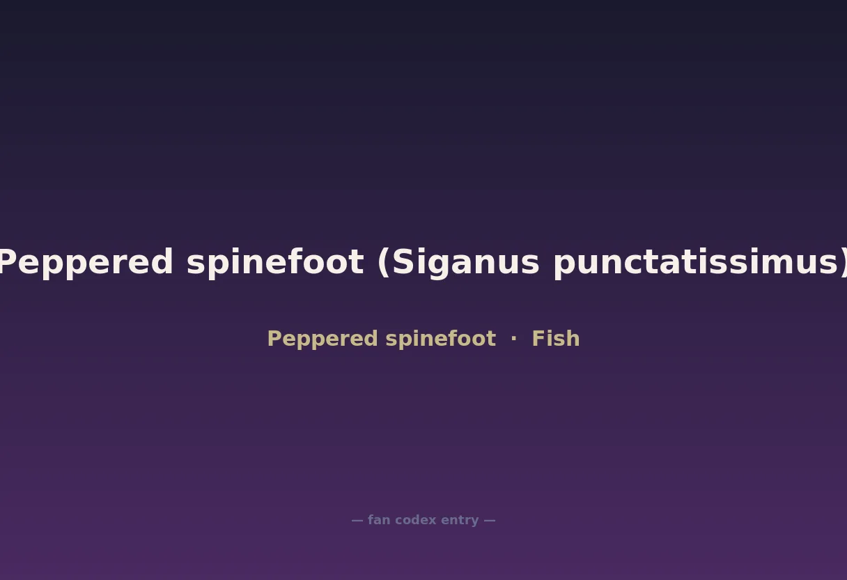 Peppered spinefoot (Siganus punctatissimus)