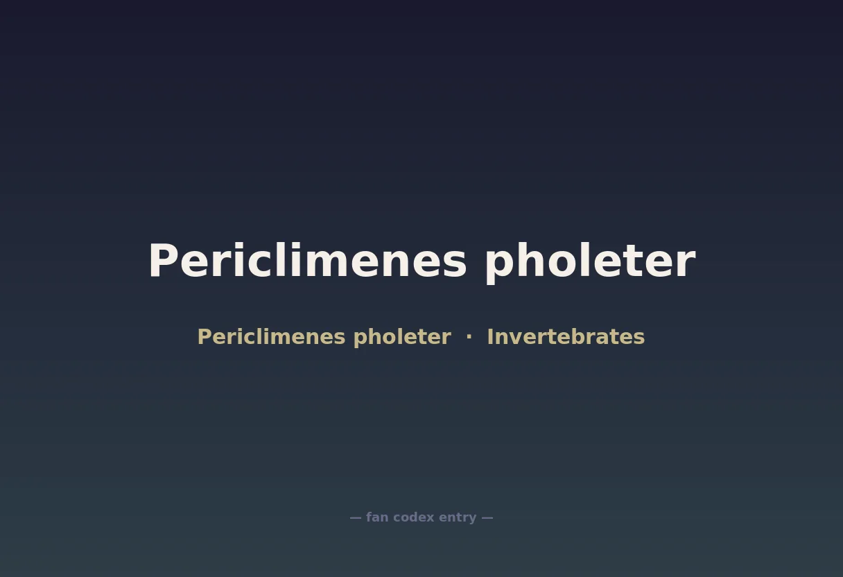 Periclimenes pholeter