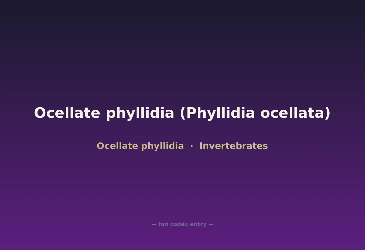 Ocellate phyllidia (Phyllidia ocellata)