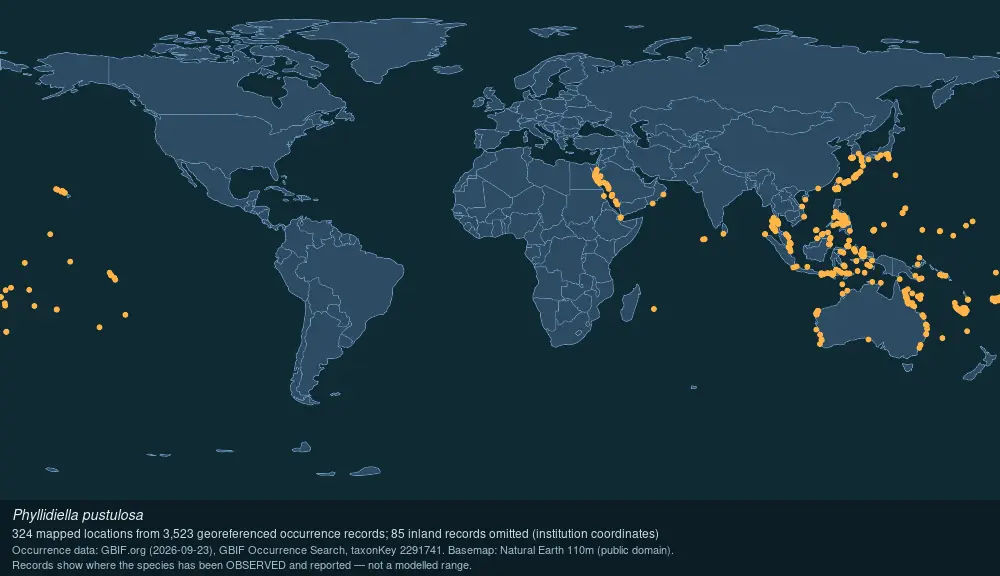 Where Vesicular sea slug has been recorded