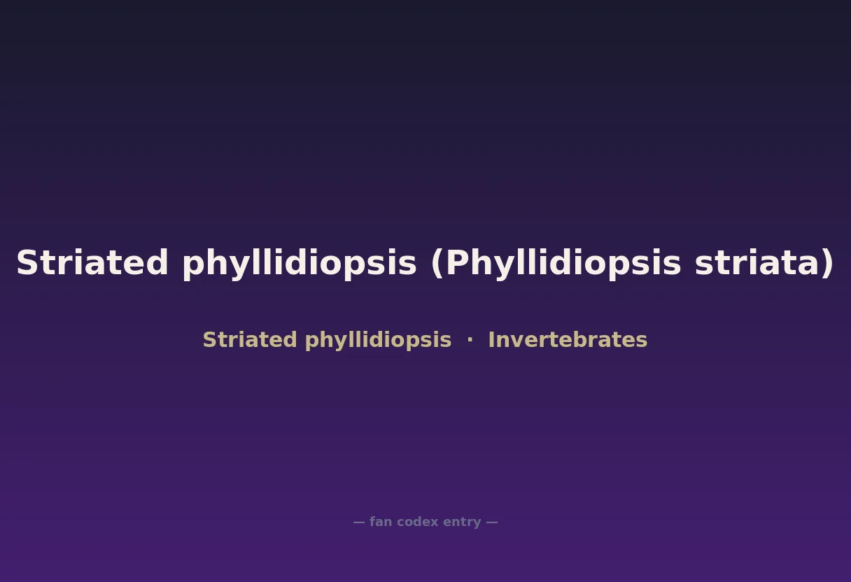 Striated phyllidiopsis (Phyllidiopsis striata)