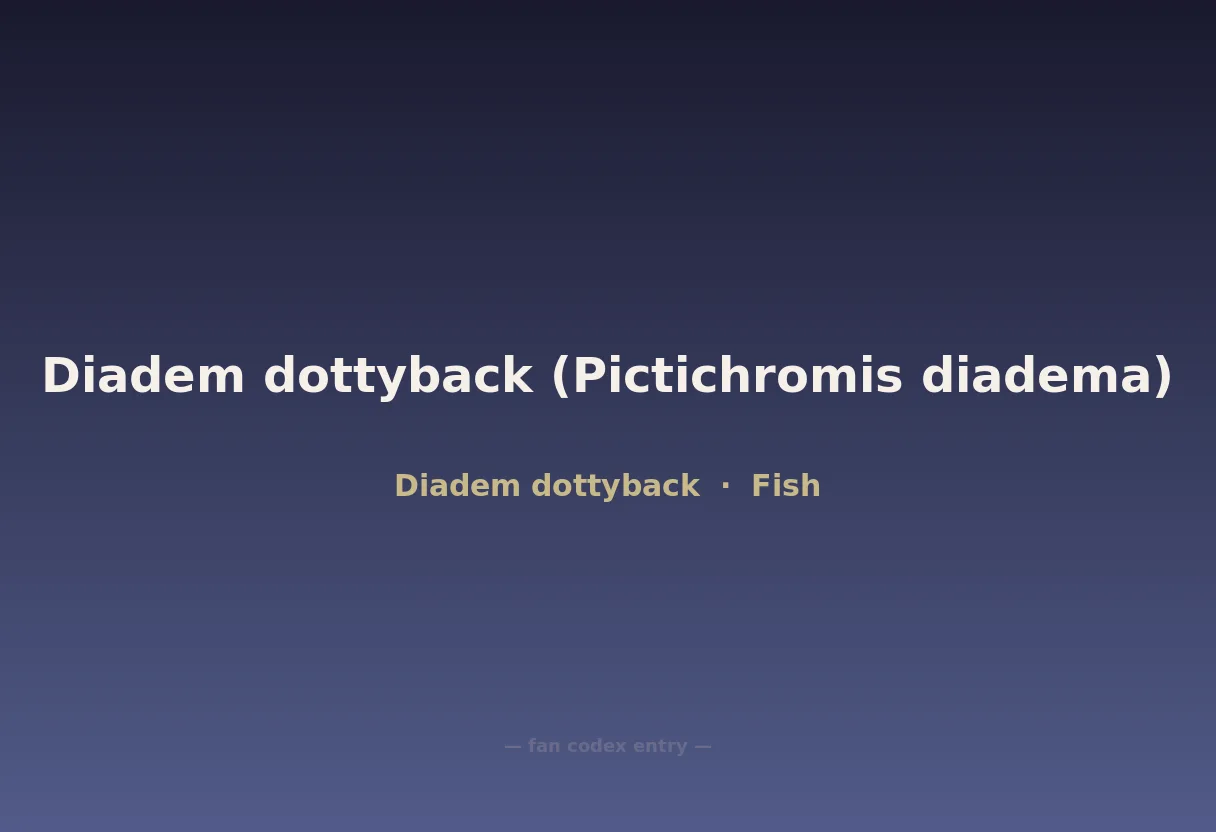 Diadem dottyback (Pictichromis diadema)