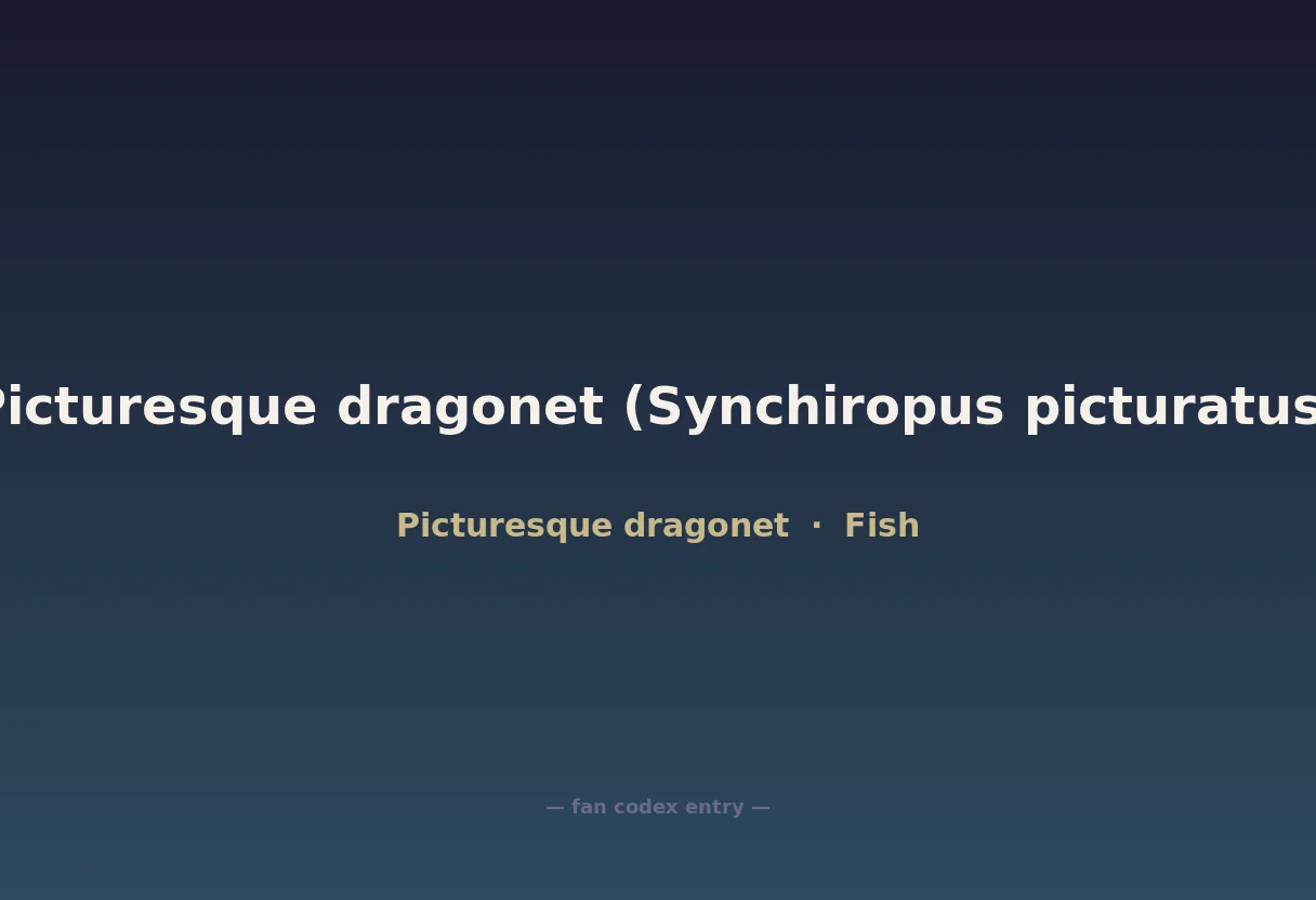 Picturesque dragonet (Synchiropus picturatus)