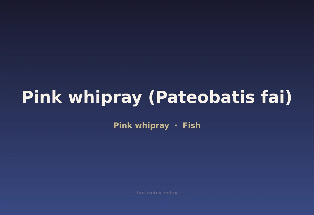 Pink whipray (Pateobatis fai)
