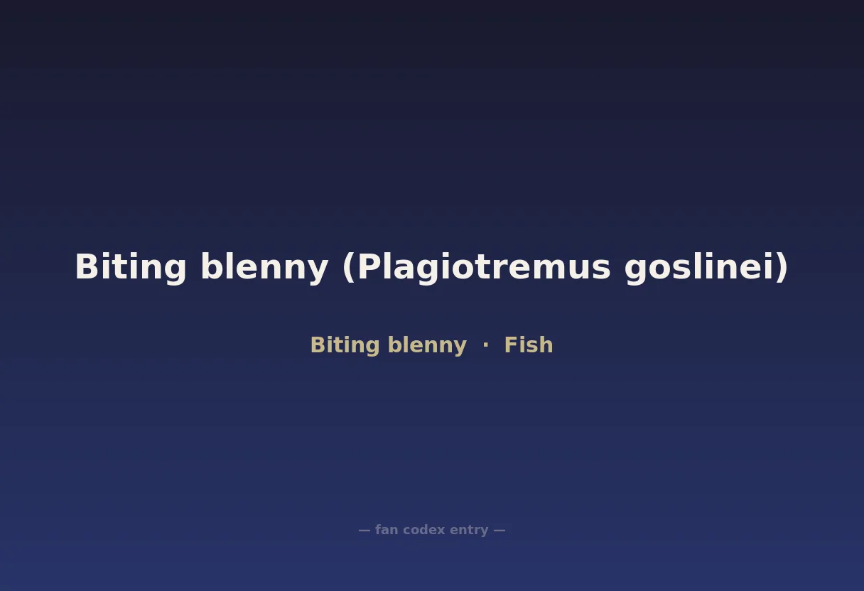 Biting blenny (Plagiotremus goslinei)