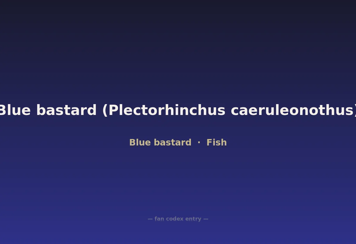Blue bastard (Plectorhinchus caeruleonothus)