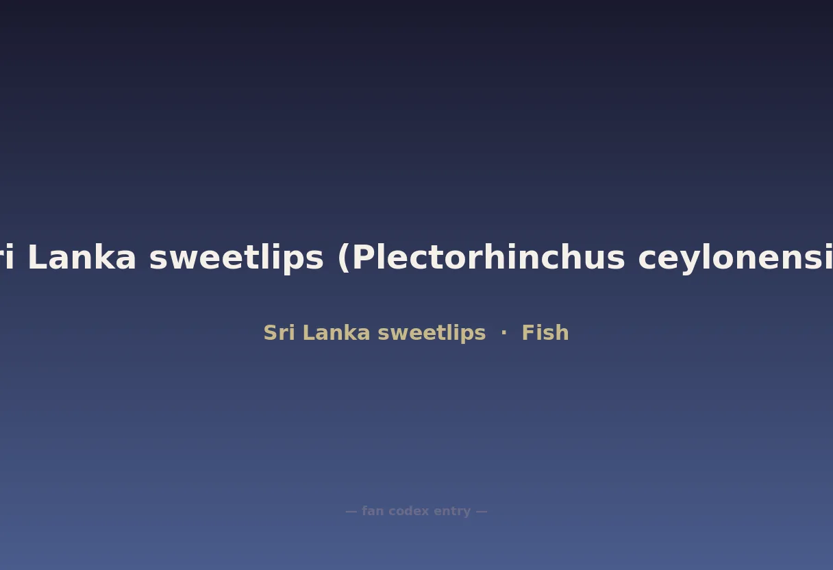 Sri Lanka sweetlips (Plectorhinchus ceylonensis)