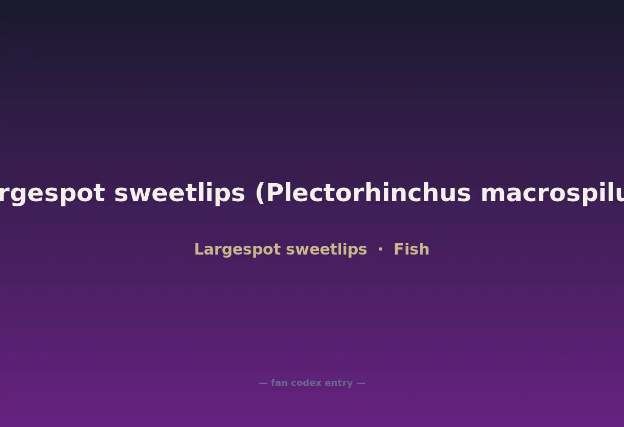 Largespot sweetlips (Plectorhinchus macrospilus)